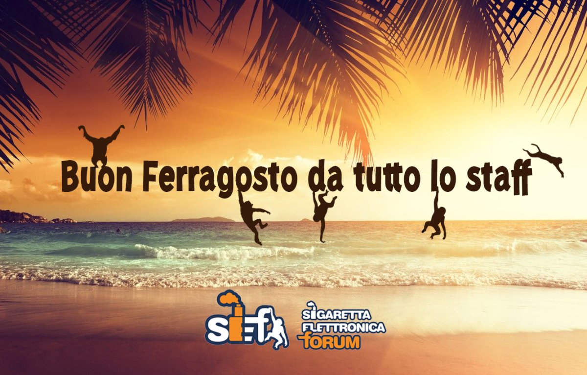 sefsummer.jpg