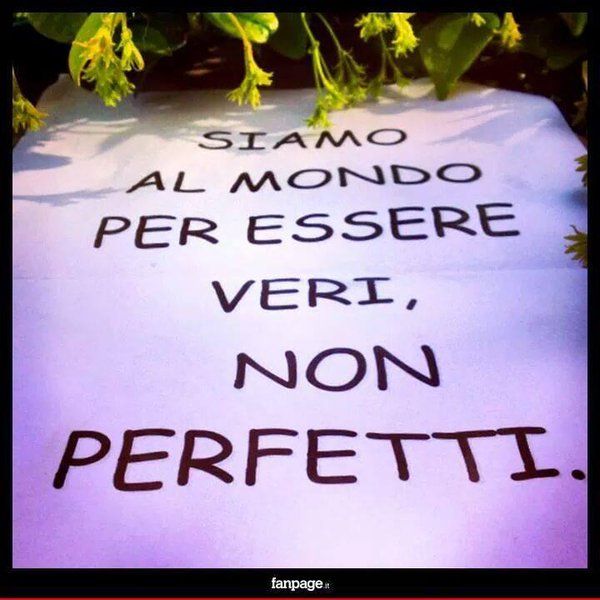 siamoalmondoperessereverinonperfetti.jpg