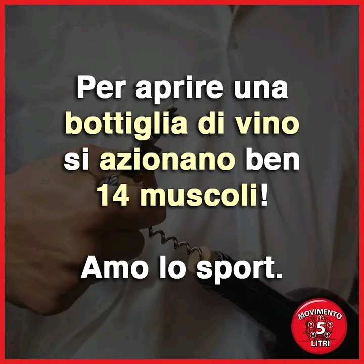 sport.jpg