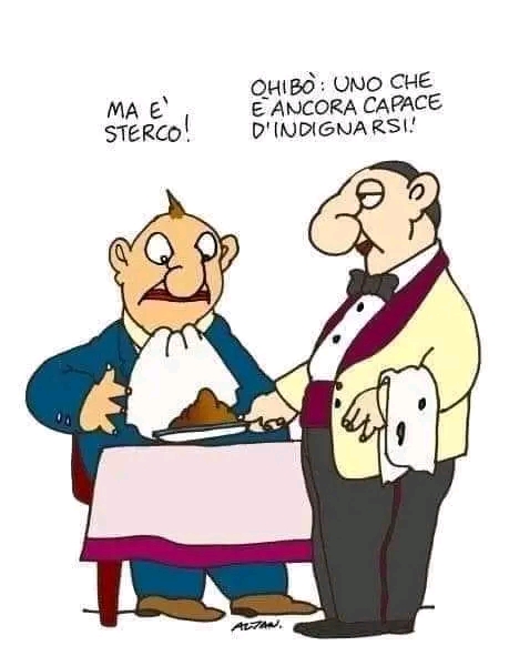 sterco.jpg
