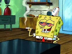 tumblr_nq5c4nWHGg1shazmbo1_250.gif