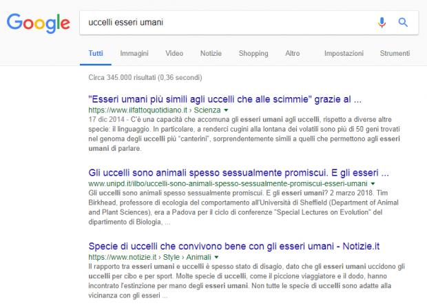 uccelli.jpg