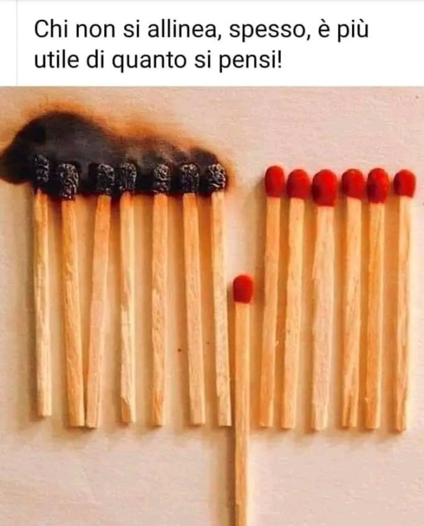 Aforismi: Saggezza Ed Umorismo [SigarettaElettronicaForum.com]