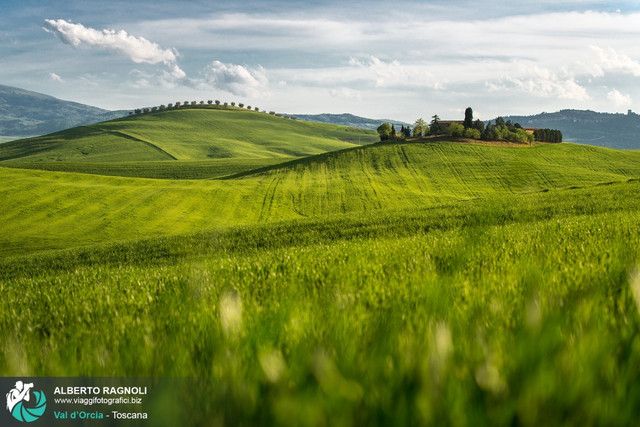 verdi_colline_val_d_orcia.jpg