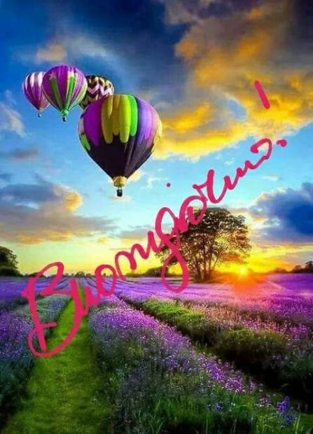 WhatsApp Image 2017-10-11 at 08.11.13.jpg