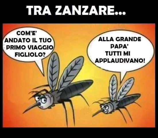 Aforismi: Saggezza Ed Umorismo [SigarettaElettronicaForum.com]