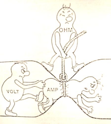11bjlm1.jpg