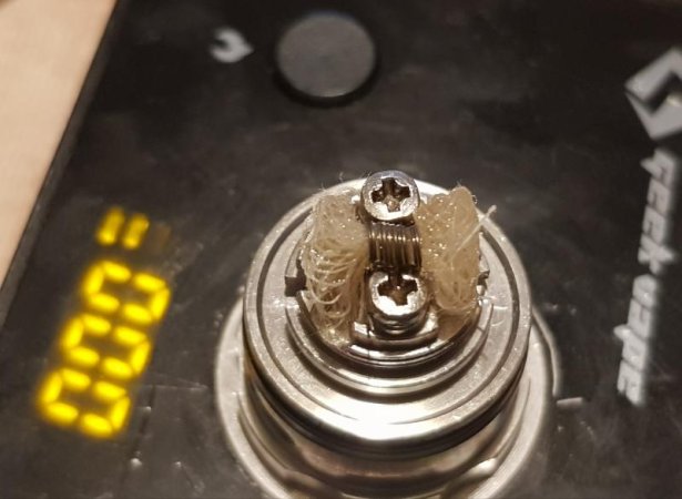 20190523_005029.jpg