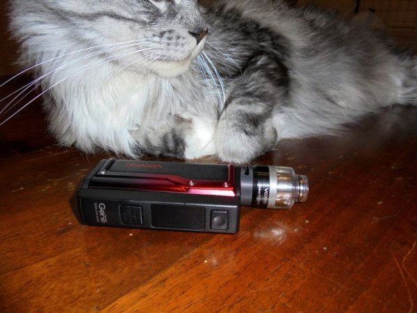 Voopoo RTA Pod Tank [SigarettaElettronicaForum.com]