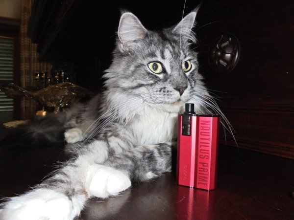 Aspire Nautilus Prime Pod Mod [SigarettaElettronicaForum.com]