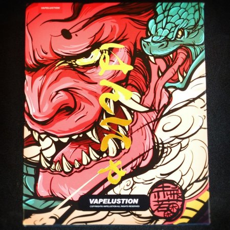 Vapelustion Hannya Box Mod 230W [SigarettaElettronicaForum.com]