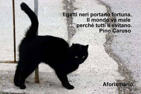 Aforismi: Saggezza Ed Umorismo [SigarettaElettronicaForum.com]