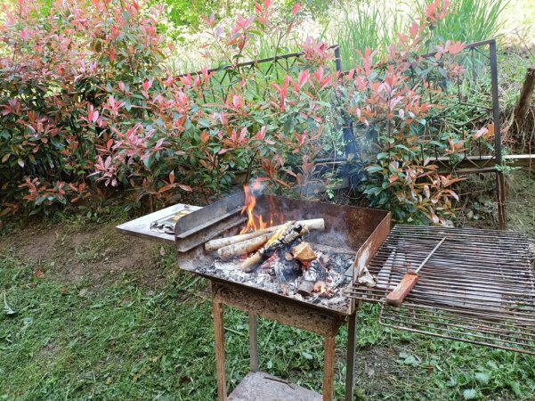 IMG20230409124752.jpg