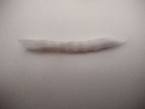 TC Thelema Solo Lost Vape [SigarettaElettronicaForum.com]