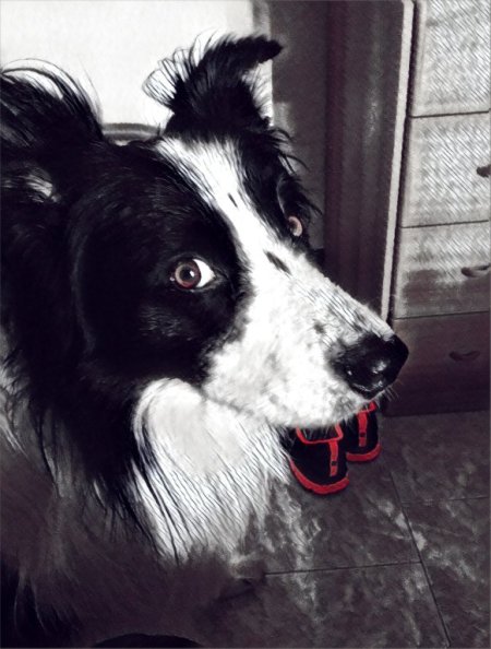 IMG_3057.jpeg