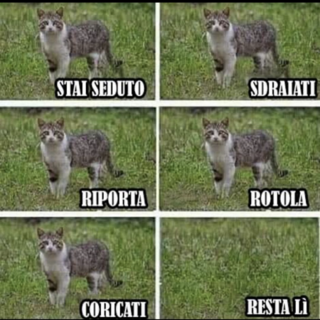 Aforismi: Saggezza Ed Umorismo [SigarettaElettronicaForum.com]