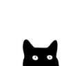 AlexBlackCat