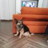 andrea1988_1