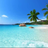 morrocoy