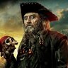 Piratabarbagrigia