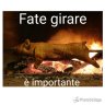 Pirrotto
