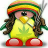 David @@@@@