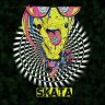 Skata