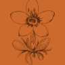 bio
