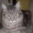 marb307