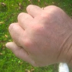 20141017_141314.jpg