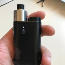 Pico + Hadaly.jpg