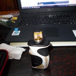 COIL 2.jpg
