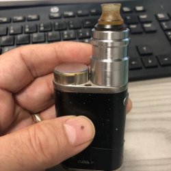 zefi.jpg