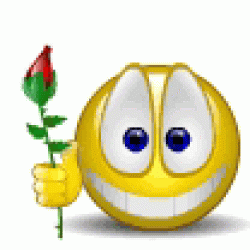 image.gif