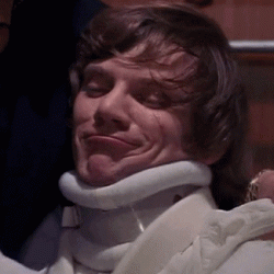 VJ4fxw5.gif