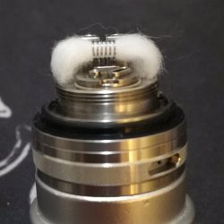 cotton build vertex 2.jpg