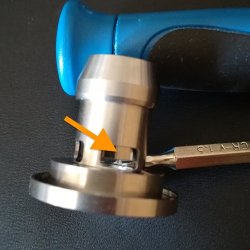 Nautilus 3 chamber.jpg