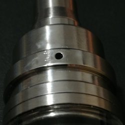 duetto genesis 2.jpg