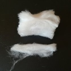 cotone 3.jpg