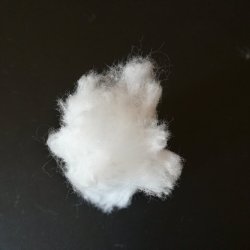 cotone 4.jpg