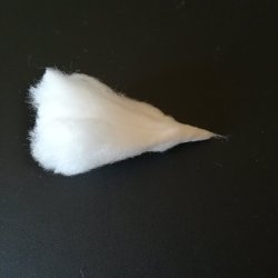 cotone 5.jpg