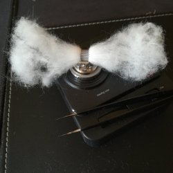 cotone 7.jpg