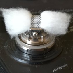 cotone 9.jpg