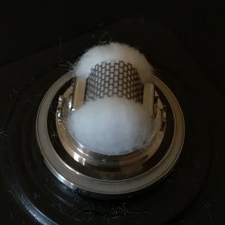 cotone 10.jpg