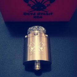 1 Dead Rabbit 3.jpg