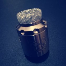 2 Dead Rabbit 3.jpg