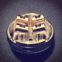 7 Dead Rabbit 3.jpg