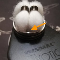 dead rabbit cotone.jpg