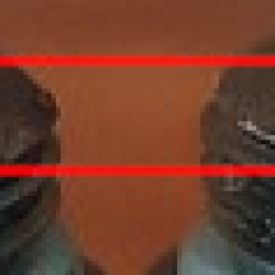 confronto asole by ka se_1.png