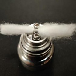 cotonatura.jpg